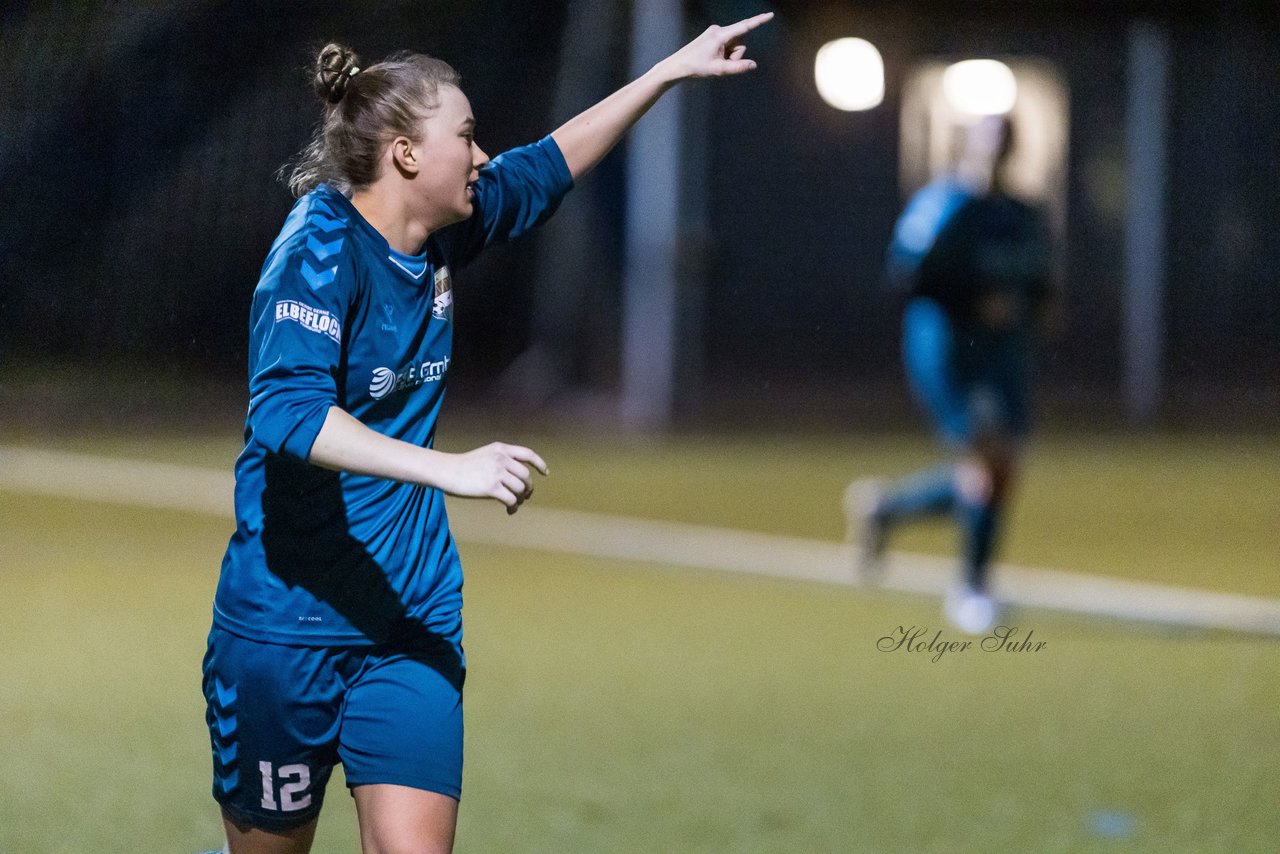 Bild 485 - F SC Alstertal-Langenhorn - Hamburger SV 3 : Ergebnis: 2:2